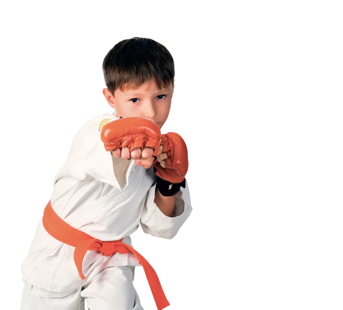 TAEKWONDO KIDZ