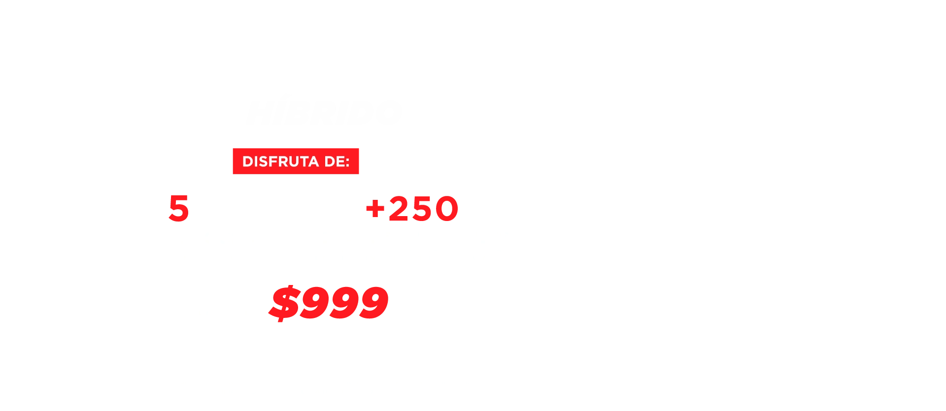 5 pases de acceso multiclub